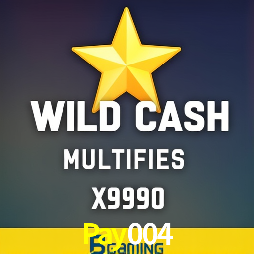 Pay004,Pay004.Com